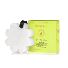Load image into Gallery viewer, Spongellé | Bestsellers: Fall, Halloween, Christmas 2026 Spongellé  |  Bestsellers: Fall, Halloween, Christmas 2026 - Boxed Flower Assorted Pack : Assorted Pack
