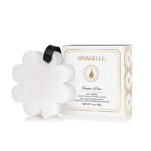 Load image into Gallery viewer, Spongellé | Bestsellers: Fall, Halloween, Christmas 2026 Spongellé  |  Bestsellers: Fall, Halloween, Christmas 2026 - Boxed Flower Assorted Pack : Assorted Pack
