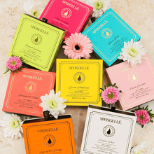 Load image into Gallery viewer, Spongellé | Bestsellers: Fall, Halloween, Christmas 2026 Spongellé  |  Bestsellers: Fall, Halloween, Christmas 2026 - Boxed Flower Assorted Pack : Assorted Pack
