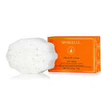 Load image into Gallery viewer, Spongellé | Bestsellers: Fall, Halloween, Christmas 2026 Spongellé  |  Bestsellers: Fall, Halloween, Christmas 2026 - Pedi Buffer Assorted Pack | Pedicure Foot Care: Assortment
