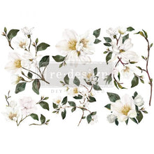 Load image into Gallery viewer, ReDesign with Prima Decor Transfers DECOR TRANSFERS® – WHITE MAGNOLIA – 3 SHEETS, 6″X12″
