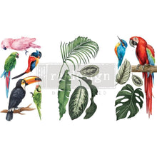 Load image into Gallery viewer, ReDesign with Prima DECOR TRANSFERS® – TROPICAL BIRDS – 3 SHEETS, 6″X12″
