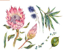 Load image into Gallery viewer, Aussie Dry Rub Transfers Australian Wildflowers ll - Proteas Dry Rub Transfer
