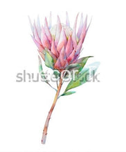 Load image into Gallery viewer, Aussie Dry Rub Transfers Australian Wildflowers ll - Proteas Dry Rub Transfer
