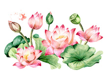 Load image into Gallery viewer, Aussie Dry Rub Transfers Koi and Lotus Dry Rub Aussie Transfer
