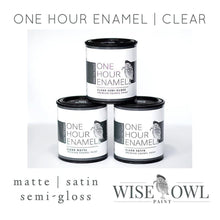 Load image into Gallery viewer, Wise Owl Finishes 1 Hour Clear Enamel Topcoat
