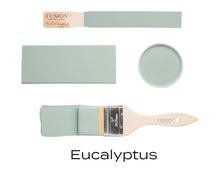 Load image into Gallery viewer, Fusion Fusion Mineral Paint Fusion Mineral Paint - Eucalyptus
