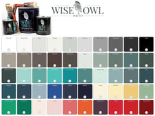 Load image into Gallery viewer, Wise Owl Paint Chalk Synthesis Paint Pints (16 oz)
