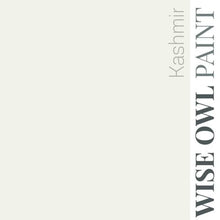 Load image into Gallery viewer, Wise Owl Paint Quart / Kashmir 1 Hour Enamel Paint
