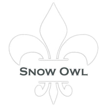 Load image into Gallery viewer, Wise Owl Paint Snow Owl Chalk Synthesis Paint Pints (16 oz)
