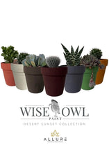Load image into Gallery viewer, Wise Owl Wise Owl Chalk Synthesis Desert Collection
