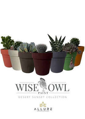 Wise Owl Wise Owl Chalk Synthesis Desert Collection